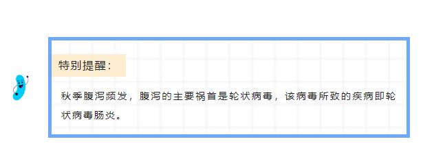 警惕秋季腹瀉 | 輪狀病毒患兒不僅存在腸道菌群失調(diào)，還常伴免疫功能受損