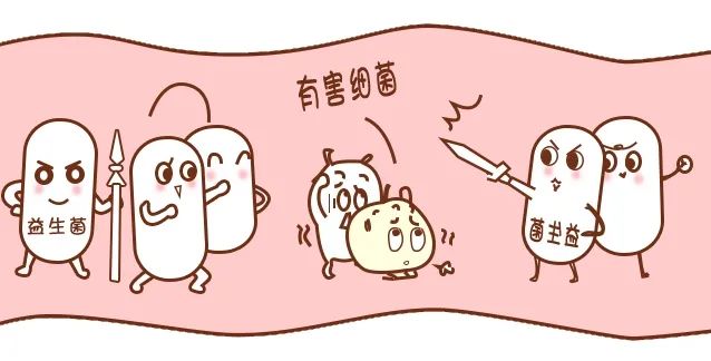 胃癌元兇幽門(mén)螺桿菌，益生菌竟是根除它的好幫手