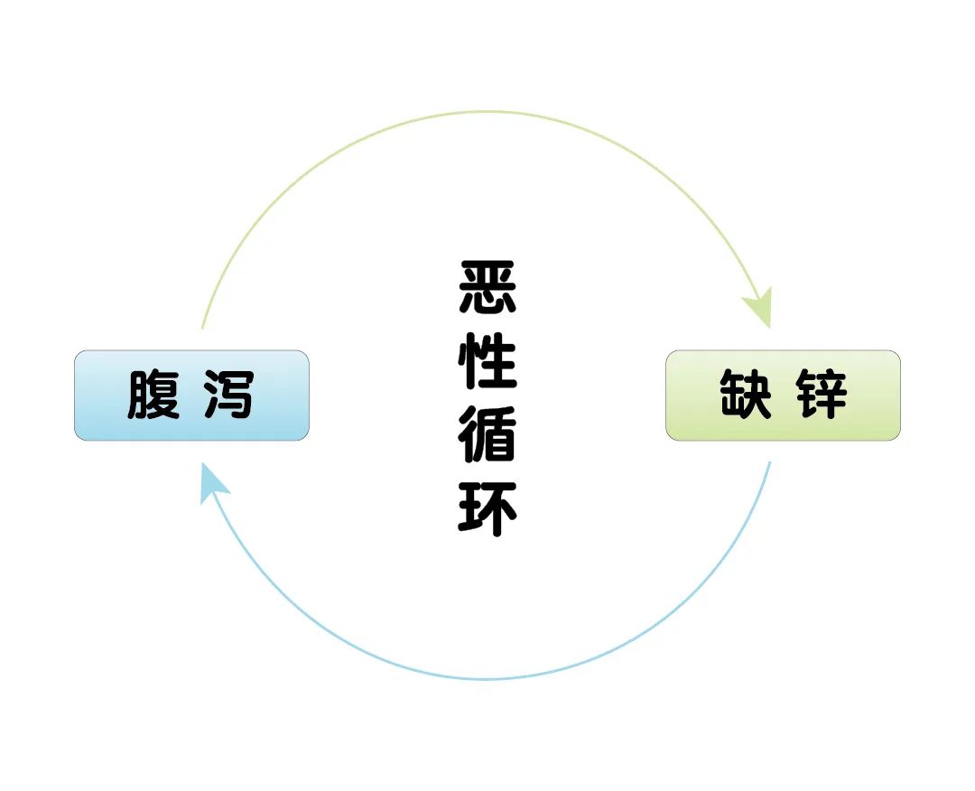 寶寶腹瀉期間，為什么要補(bǔ)鋅？